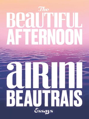 cover image of The Beautiful Afternoon